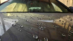 20230913 071937 scaled 1.jpg 20230913 071937 scaled 1.jpg